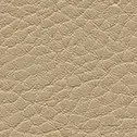 F6461653 Kiesel