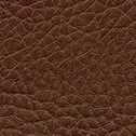 F6461655 Marone