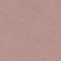 F6461764 light rose