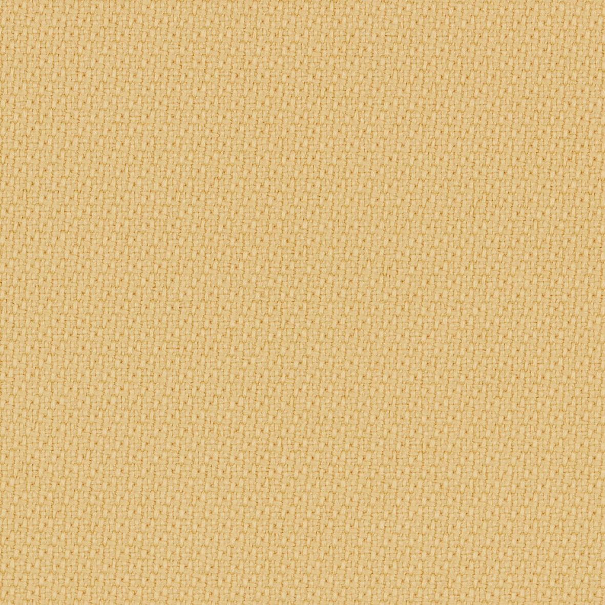 ST62744 Cashew