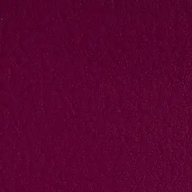VC2002 Berry