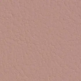 VC2114 Rose