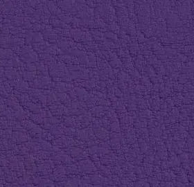 VC2118 Ultra Violet