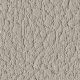 VC2522 Fungi