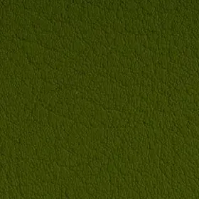 VC5001 Olive