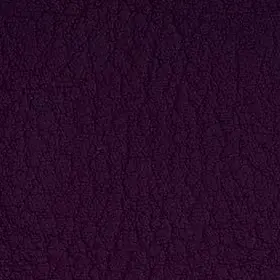 VC7001 Amethyst