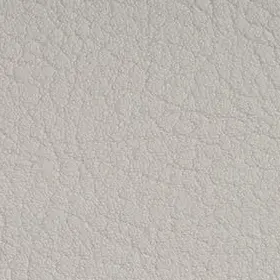 VC8020 Pearlessence