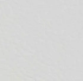 VC9607 Pure White