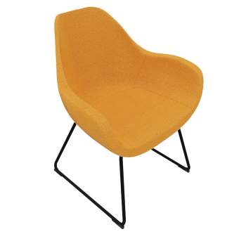 Fan Sessel mit Kufengestell